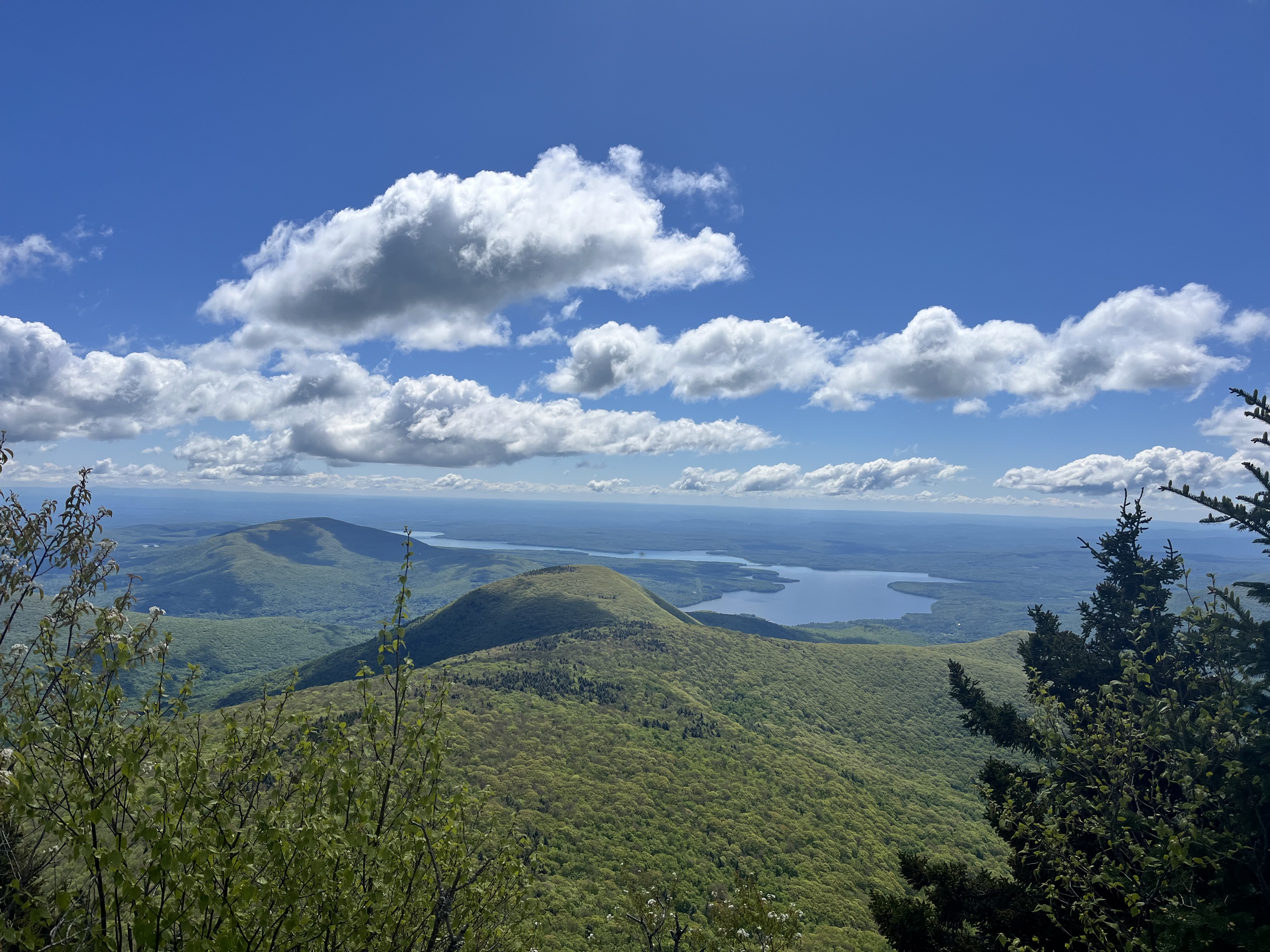 Hiking