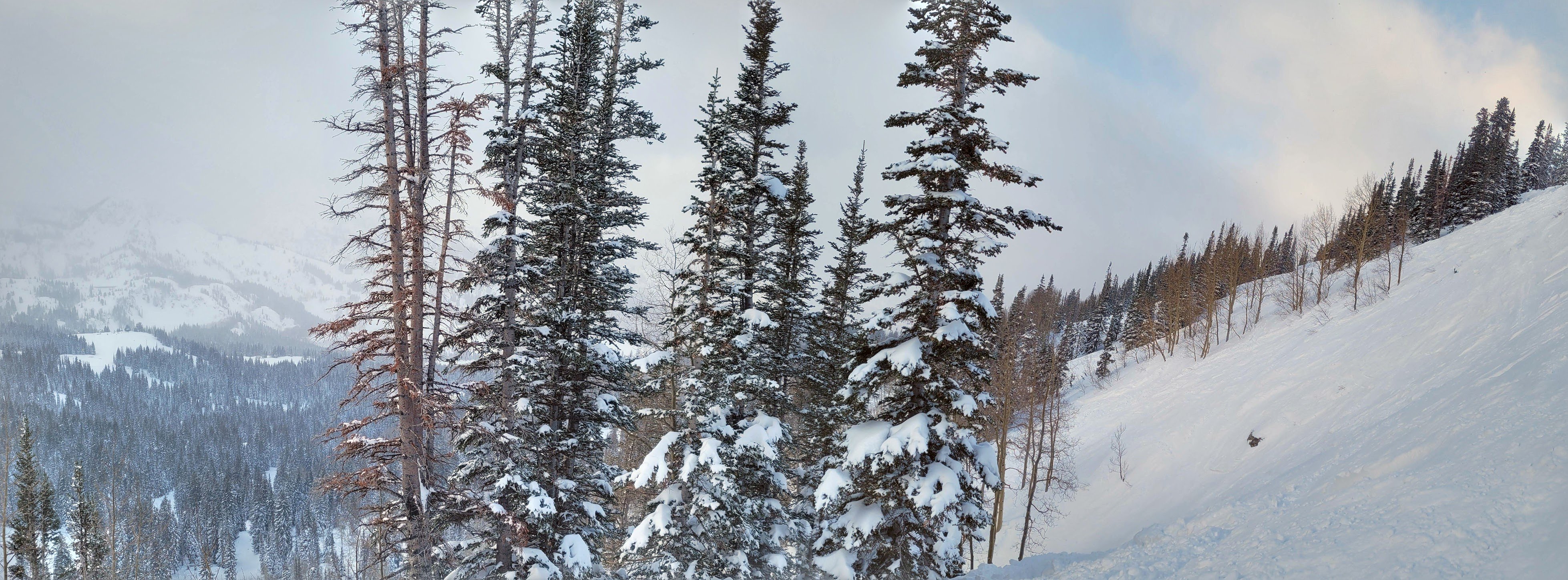 Ski photo