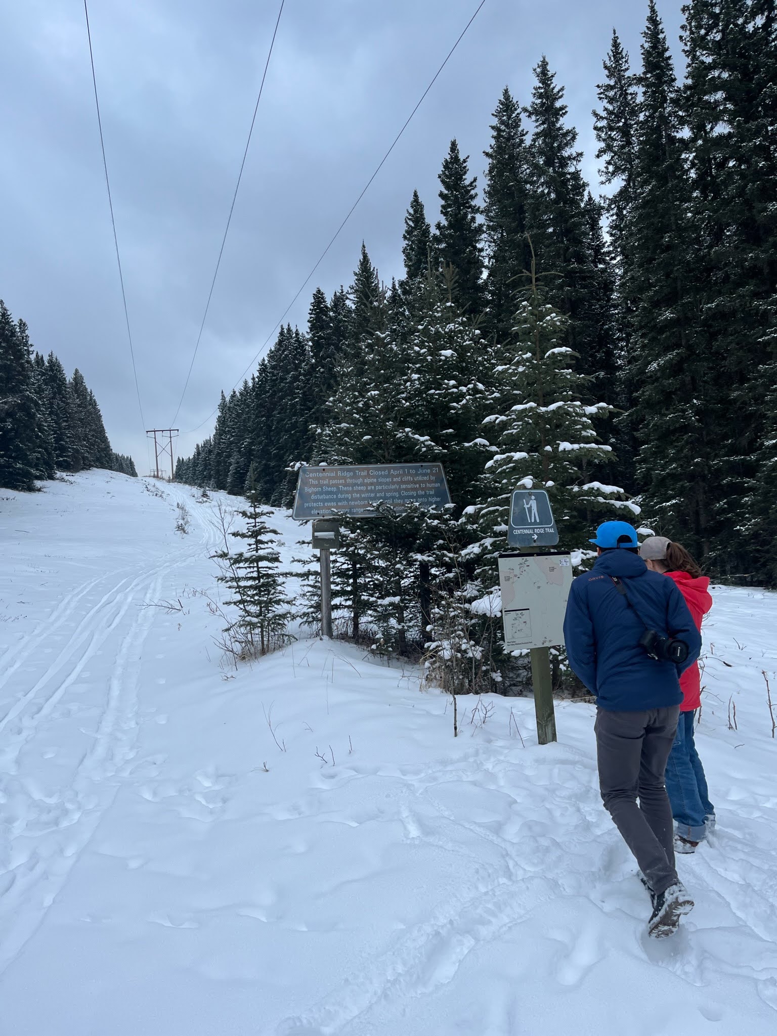 Ski photo